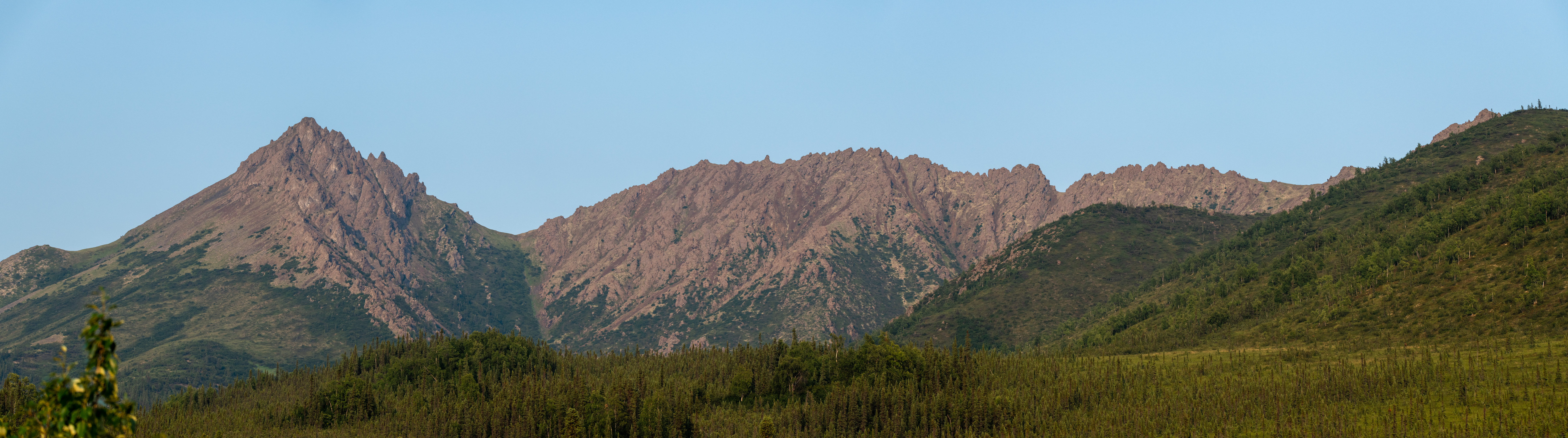 MSM_7398-Pano.jpg