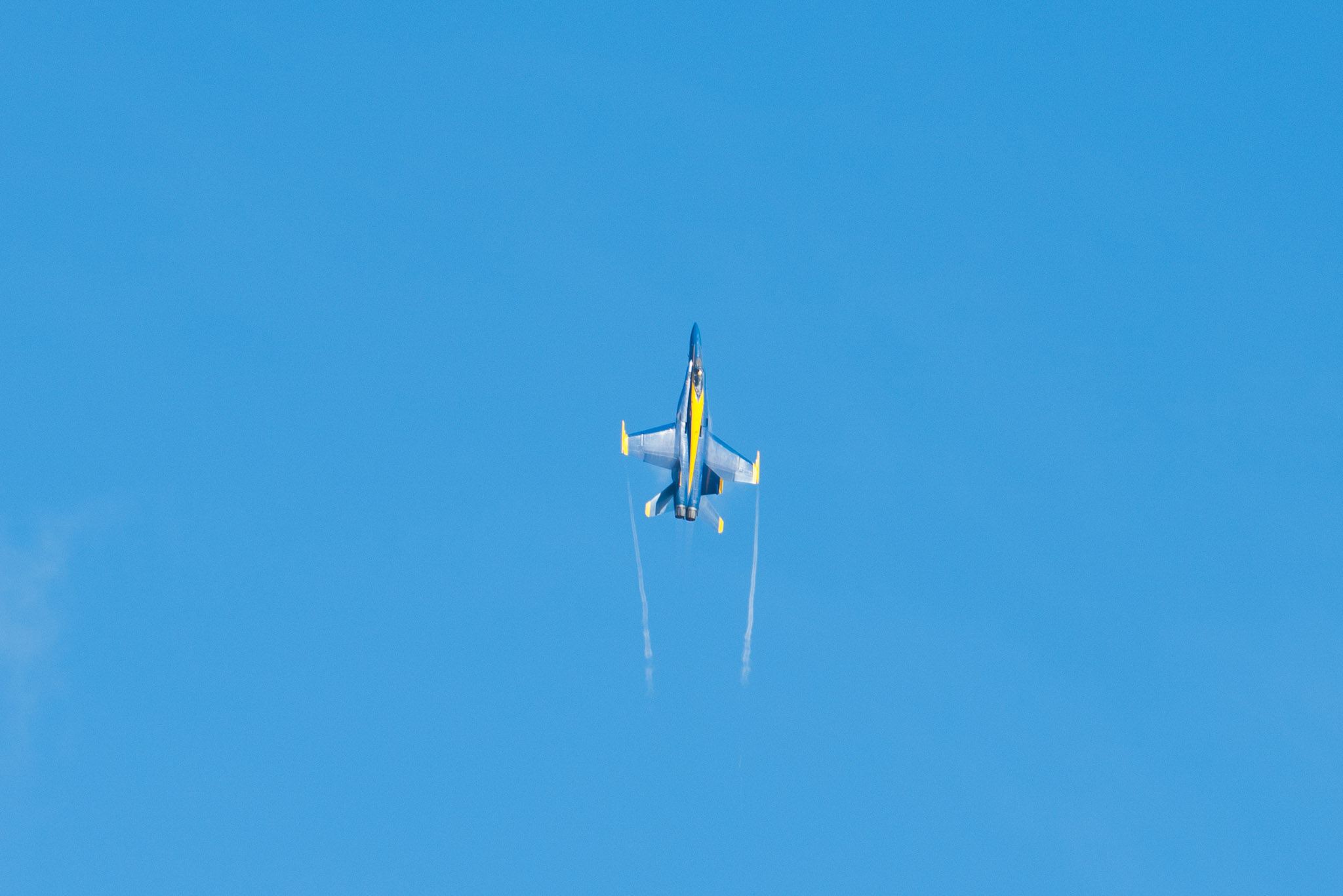 DSC_0969.jpg