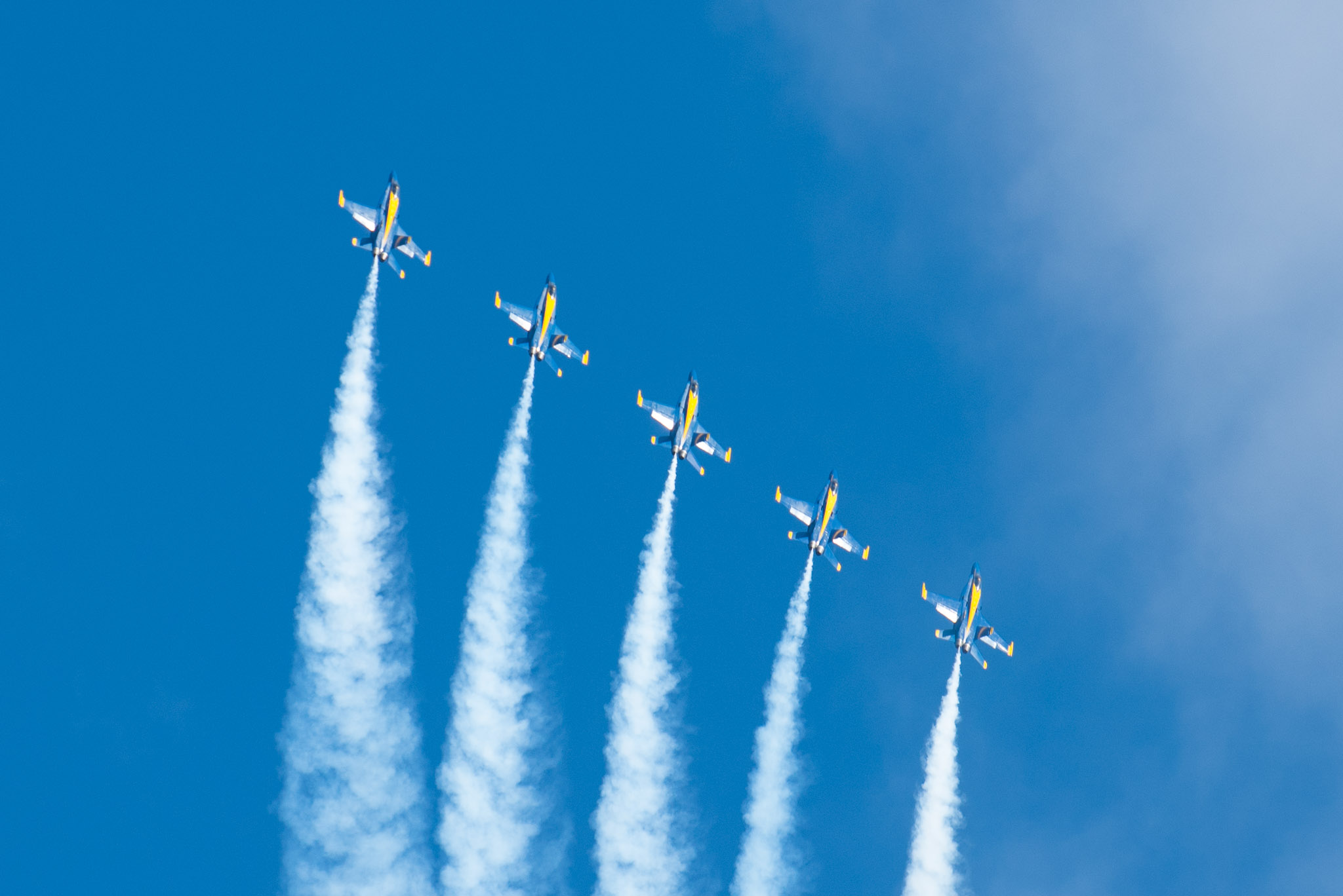 DSC_0991.jpg