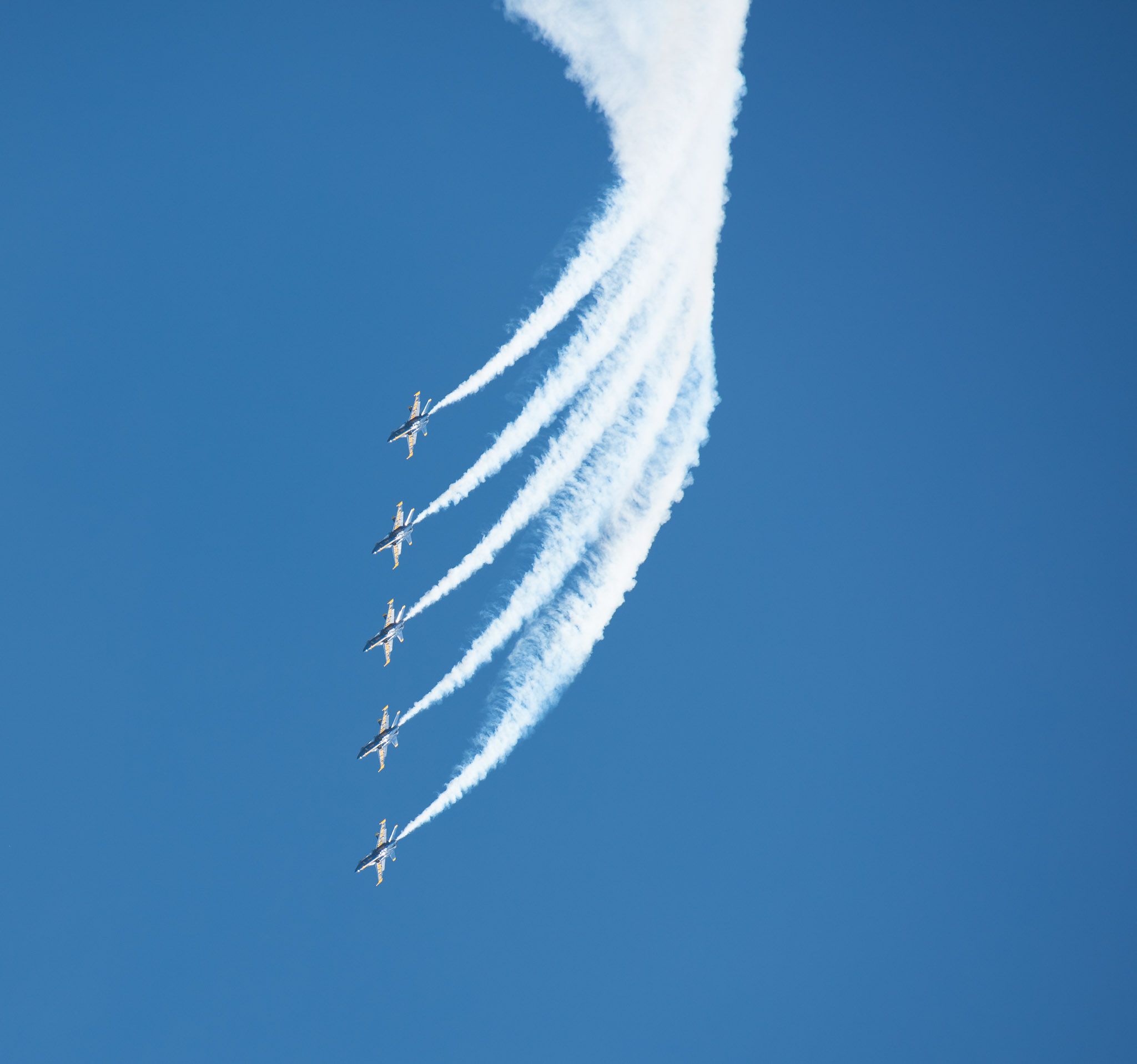 DSC_0998.jpg