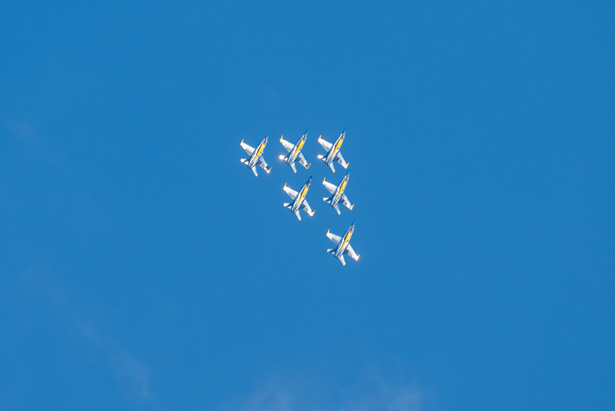 DSC_1100.jpg