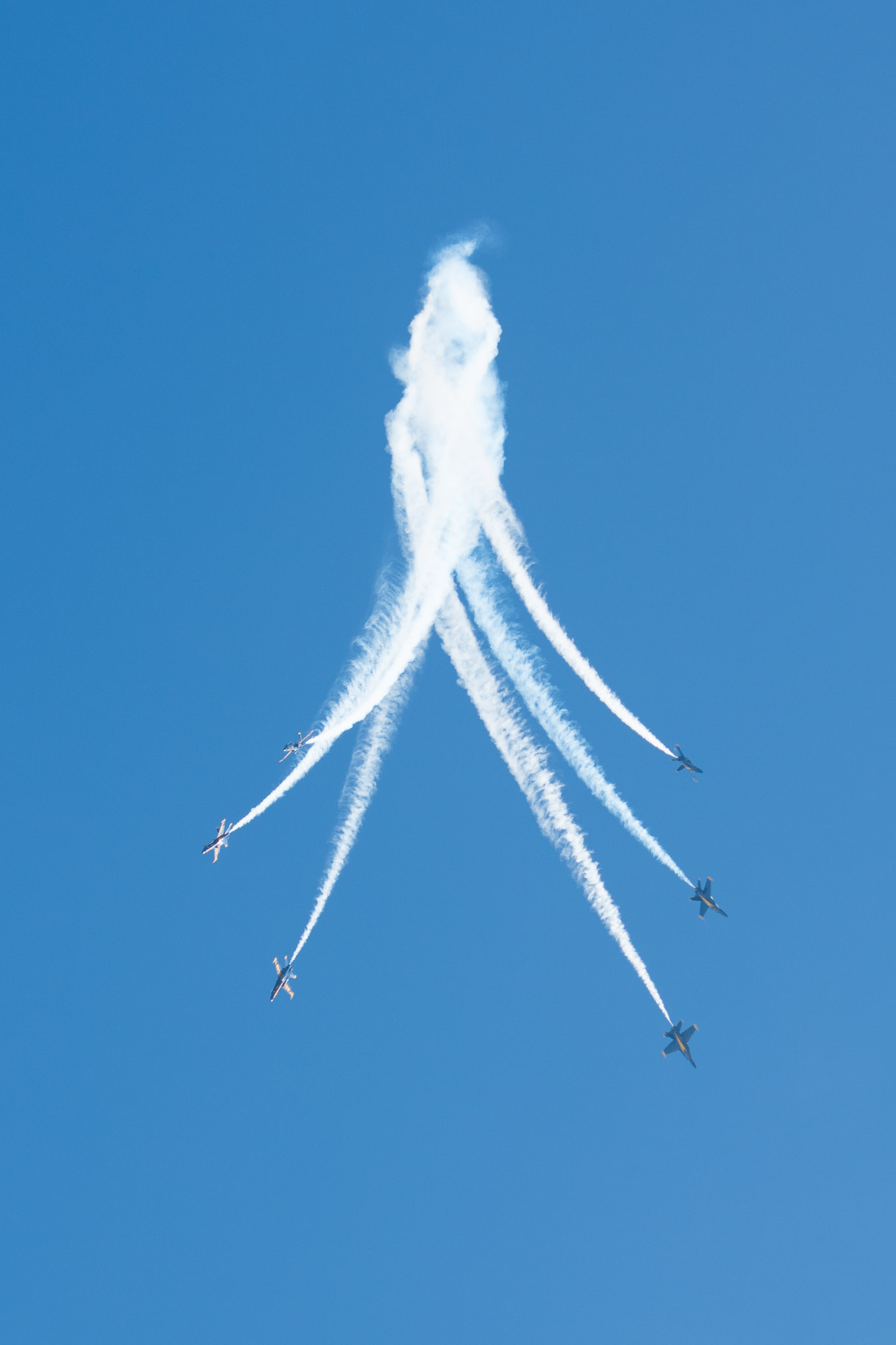 DSC_1107.jpg